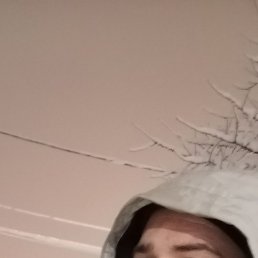 , , 32 