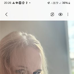 ���� �����, ����������, 48 ��� - ��������� 5 ������� 2026