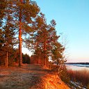 ���� �������, �������, 50 ��� - ��������� 7 ��� 2024 � ������ ���� ����������