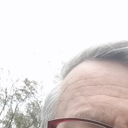 ������, ������, 66 ���