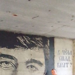 ������� ��������, �������, 43 ����