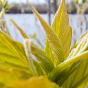 ���� ��������, ���������, 57 ��� - ��������� 9 ������� 2025