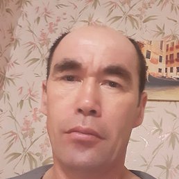 ����, ������, 41 ���