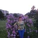 ���� �����, ������, 42 ���� - ��������� 27 ���� 2024 � ������ ���� ����������