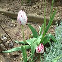 ���� ���������, ���������� - ��������� 14 ��� 2025 � ������ ���� ������