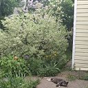 ���� �������������, ��������� - ��������� 24 ��� 2026 � ������ ���� ����������