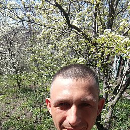 , 36, 