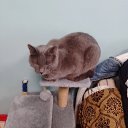 ���� ����, ������, 45 ��� - ��������� 30 ������� 2023