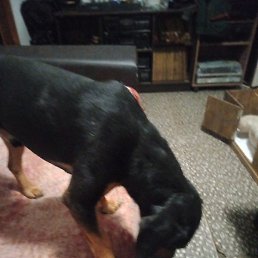 ������, ������, 53 ����