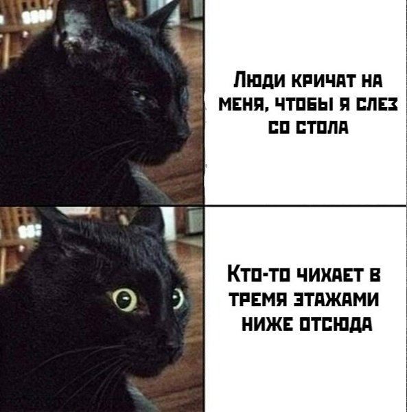 Улежу