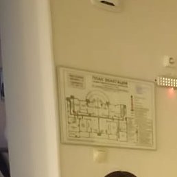 ������, ������, 42 ����