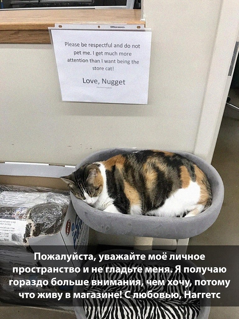 ��, �������