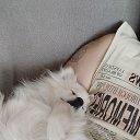 ���� ������� �������, ������, 57 ��� - ��������� 28 ���� 2024 � ������ ���� ����������