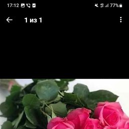 ���., ���������, 60 ���