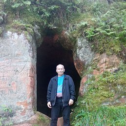 , 56, 