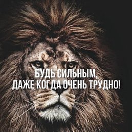 ���� R., �������, 48 ��� - ��������� 2 ������� 2026