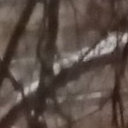 ������, 66 ���, ���������