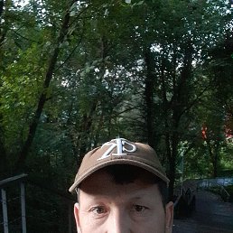 , 40, 
