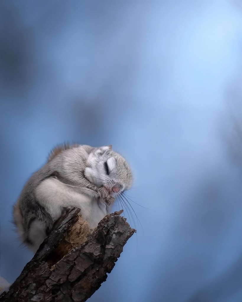   - -  . Ÿ   ,     ... - 4