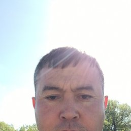 ����, 38 ���, ����