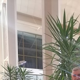 �������, �����-���������, 62 ����