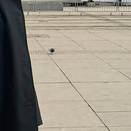 ��������, �����-���������, 37 ���