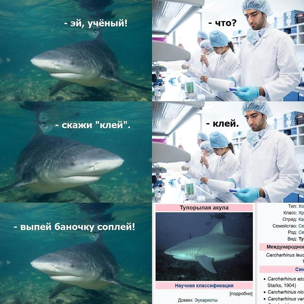 Just Business - 9 сентября 2025 в 16:01