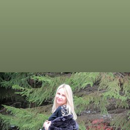 , 55, 