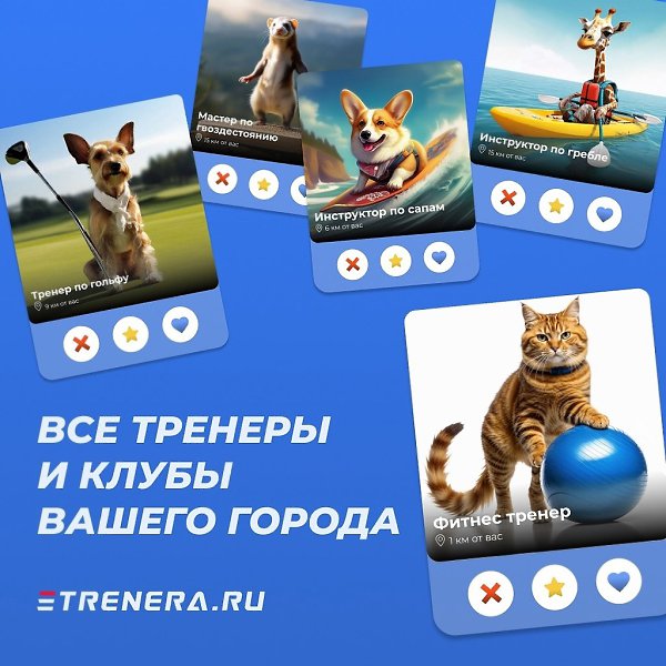    TRENERA.RU        . 350+  :  ...