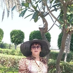 , 61, 