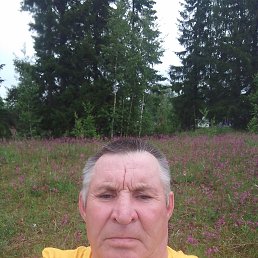 ����, 59 ���, ������