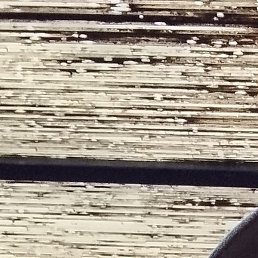 �����, ������, 35 ���