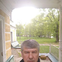 , 53 , -