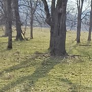 , 37 , 