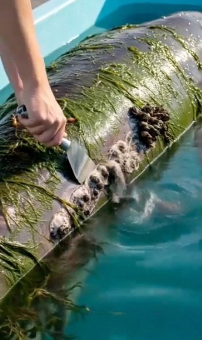 ������, � ��������� ���� �����.����� ������� - 2