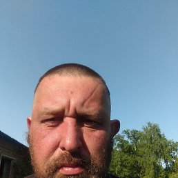 ���� �����, ������������, 41 ��� - ��������� 13 ������ 2024