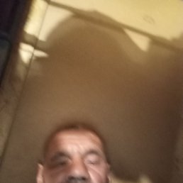 , 48, 