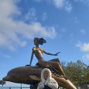 ���� ������, ��������, 66 ��� - ��������� 20 ������ 2024 � ������ ���� ����������