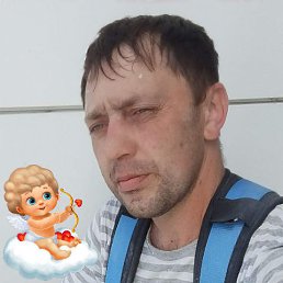 ���� �����, �����������, 41 ��� - ��������� 21 ������� 2025