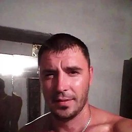 ���� ����, ������, 41 ��� - ��������� 1 ������� 2024