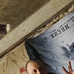 �������, �����-���������, 54 ����