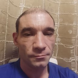 ����, ������, 41 ���