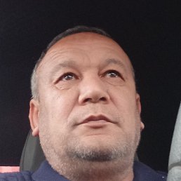 �,�,�, �����, 51 ���