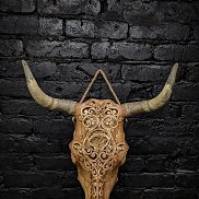 ���������, 33 ����, ���������