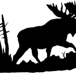 ����, �����������, 39 ���