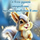 ���� ����, ������, 56 ��� - ��������� 2 ������ 2026