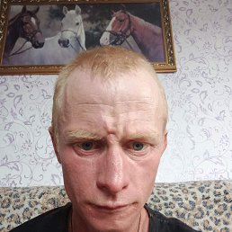 , 36 , 
