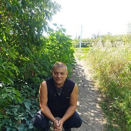 ���� �������, ������, 51 ��� - ��������� 1 ������� 2024