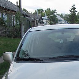 ��������, �������, 65 ���