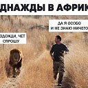 ���� ����, ����������, 47 ��� - ��������� 16 �������� 2025 � ������ ���� ����������